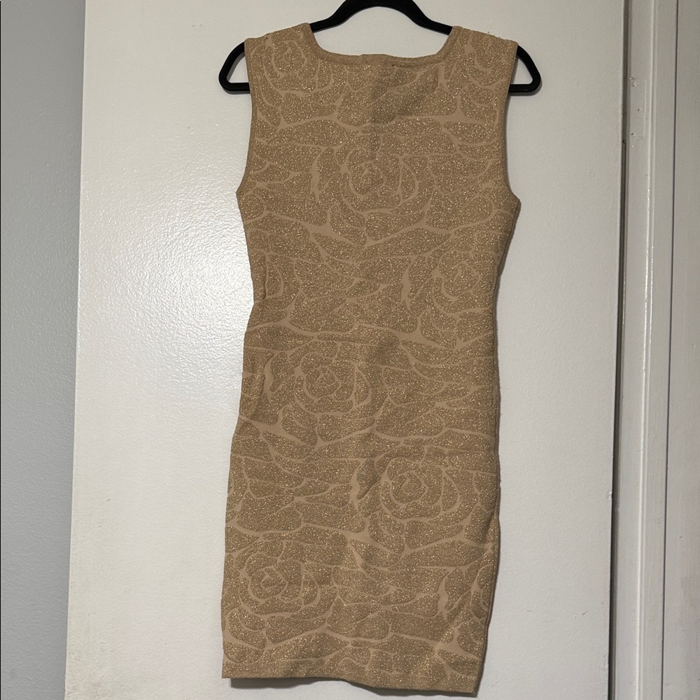 Bebe Tan Textured Mini Dress